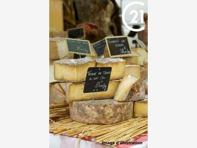 Vente fromagerie crèmerie ville importante 66