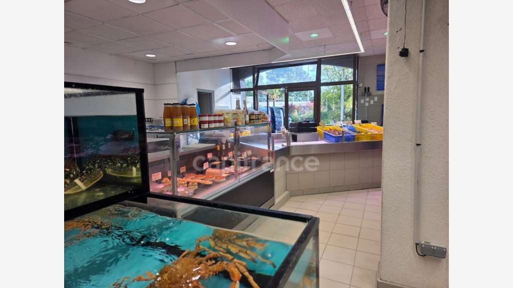 Poissonnerie à vendre à Quimper au Braden
