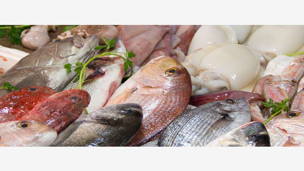 Vente poissonnerie sans concurrence gros CA - 78