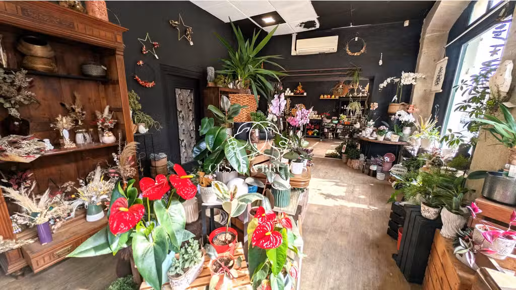 Magasin de Fleurs à vendre Le Puy-en-Velay