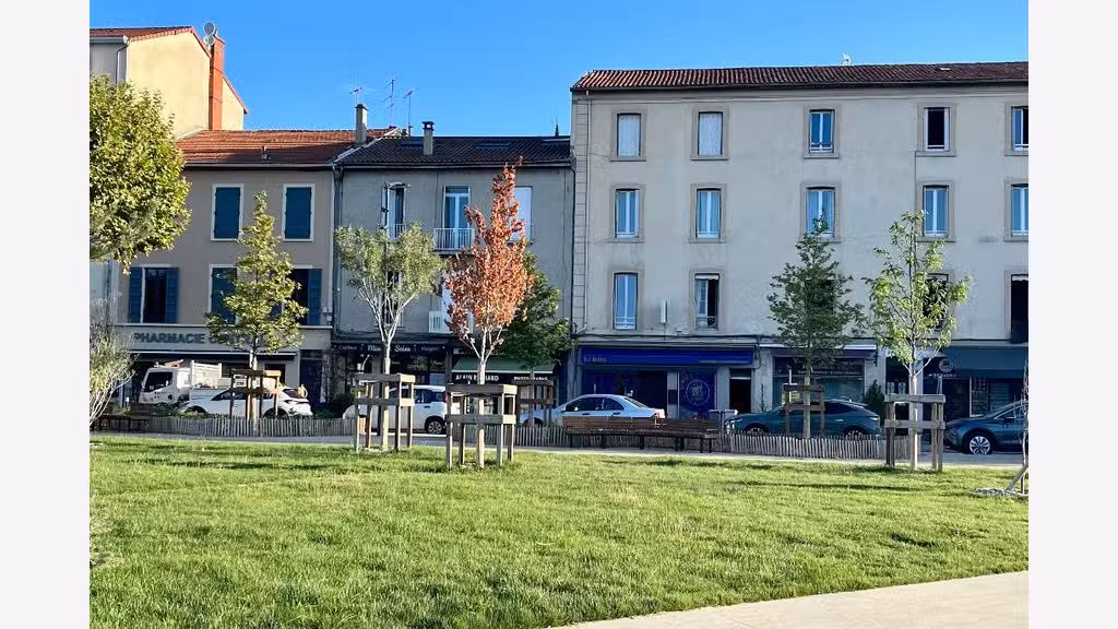 Vente commerce photographe réputé Romans sur Isère