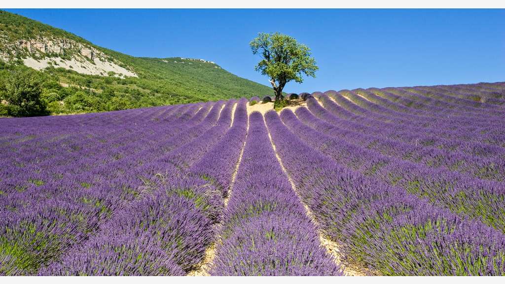 Vente maison dhôtes dans la Drôme Provençale