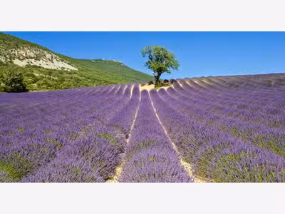 Vente maison dhôtes dans la Drôme Provençale