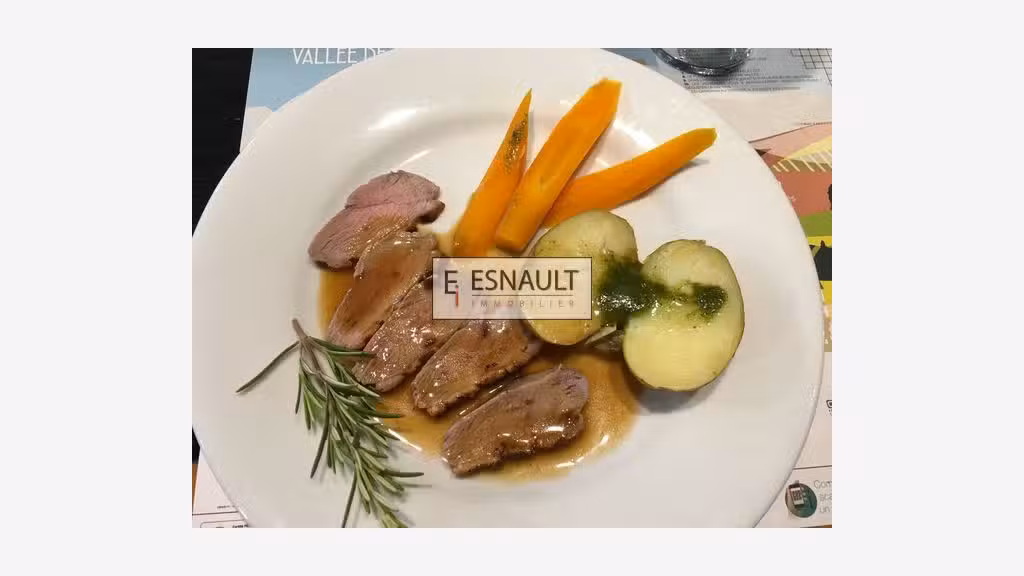Vente restaurant 80 couverts terrasse Montpellier