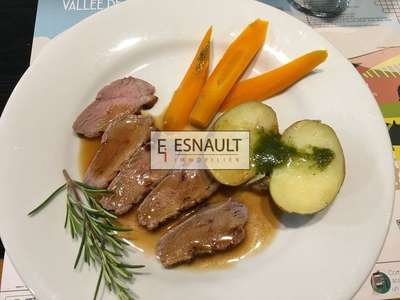 Vente restaurant 80 couverts terrasse Montpellier
