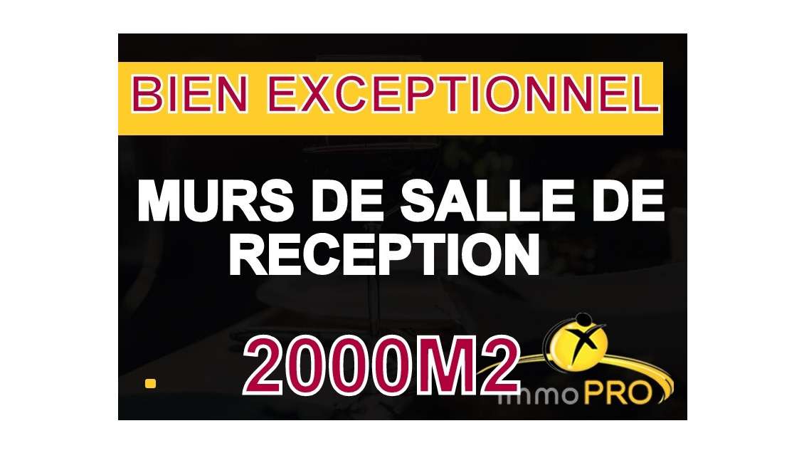 AV murs et fonds salle de réception 20 mn de Lyon