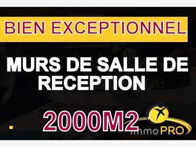 AV murs et fonds salle de réception 20 mn de Lyon