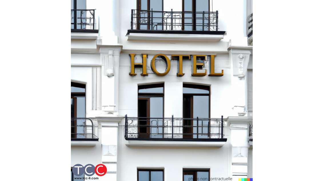 Vente murs et fonds de commerce hôtel *** Lourdes