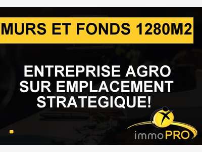 Vente murs et fonds traiteur à Tassin-la-Demi-Lune