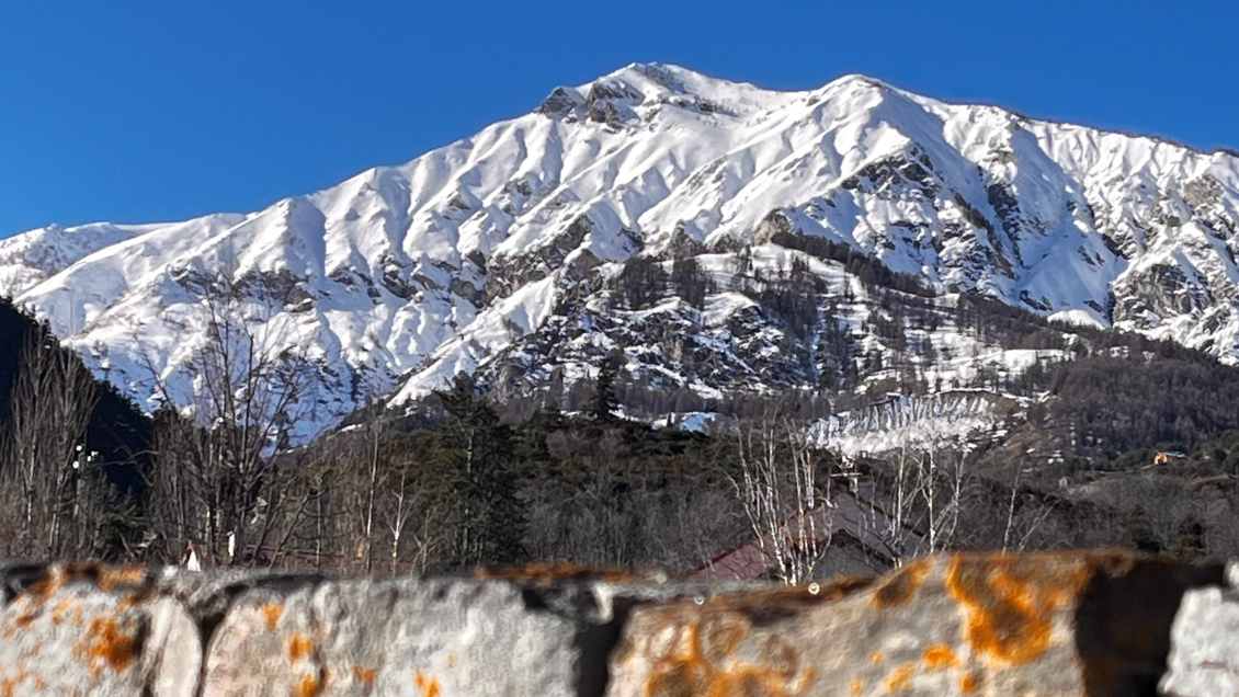 Vente Murs FDC bar restaurant Lic IV appart à Nice