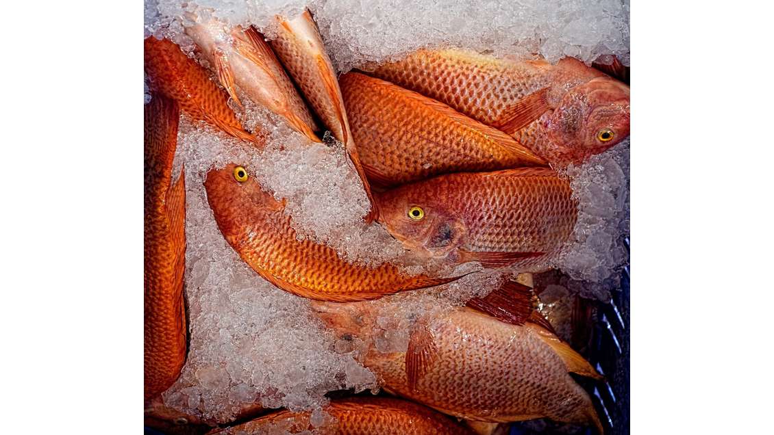 Vente FDC poissonnerie en Nord Loire