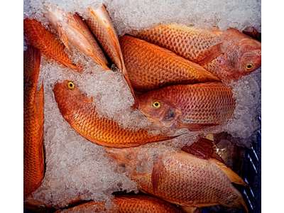 Vente Alimentation à Orvault