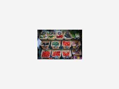 Vend primeur fromager crêmerie cave au Cotentin