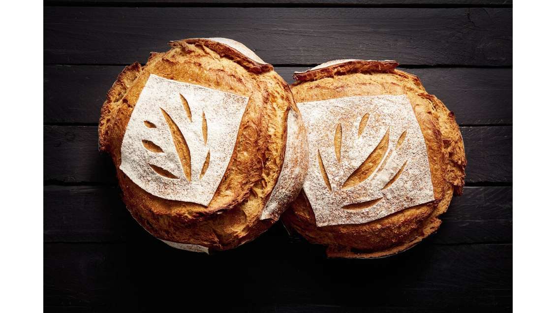 A vendre, production pains/burger, Montpellier