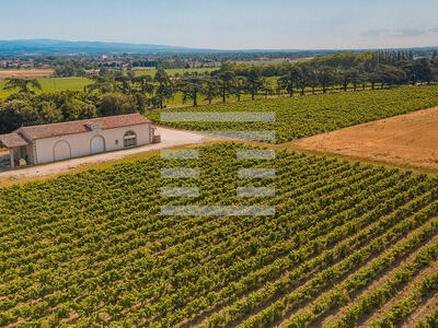 A vendre propriété vignoble 47 hectares en Aude