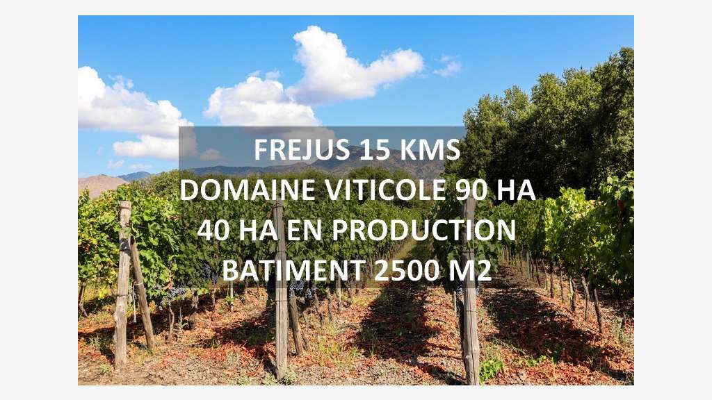A vendre propriété viticole proche de Fréjus