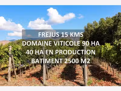 A vendre propriété viticole proche de Fréjus