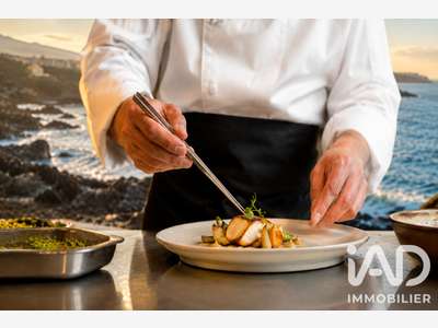 Vente restaurant empl stratégique au Cap d’Agde