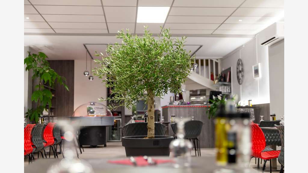Vente restaurant 96m² + étage village provençal 30