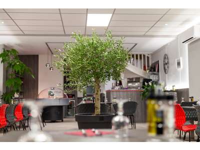 Vente Restaurant dans le Gard