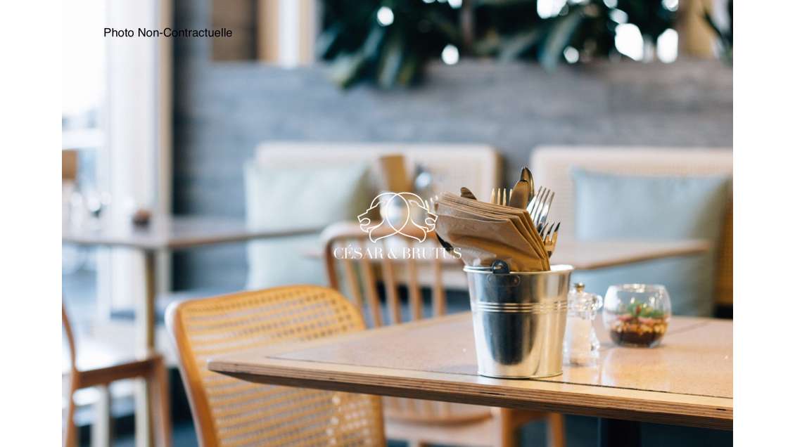 Vente beau restaurant terrasse vieux Lyon St Jean