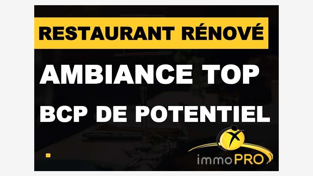 A vendre belle affaire toute rénovée Lyon 69003