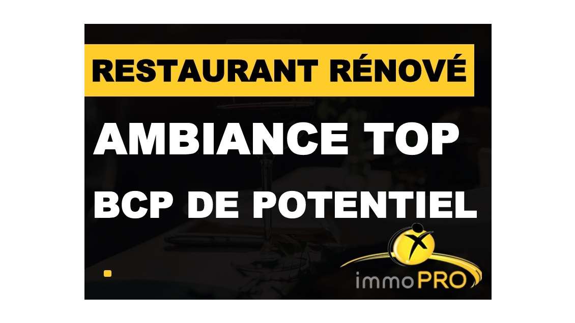 A vendre belle affaire toute rénovée Lyon 69003