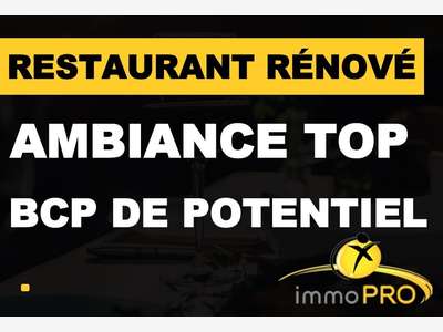A vendre belle affaire toute rénovée Lyon 69003