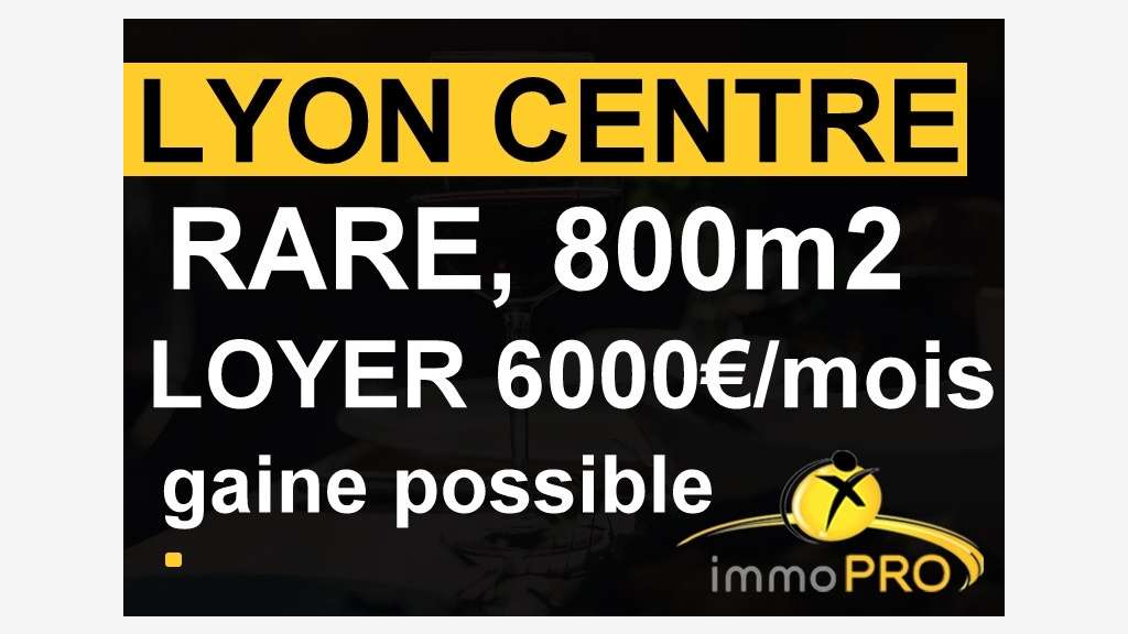 EXCLUSIVITE RARE Local sur Lyon intramuros d'une