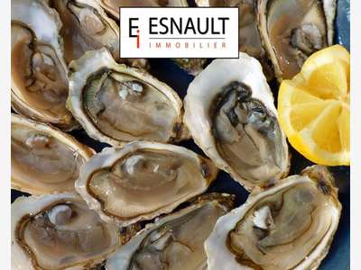 Vente restaurant terrasse 36 pl Montpellier centre