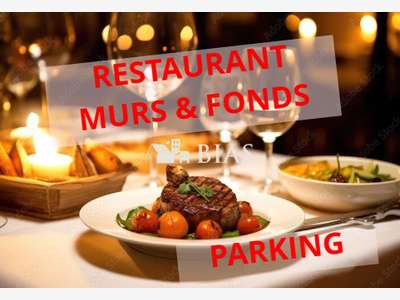 AV restaurant murs & fonds secteur dynamique 76