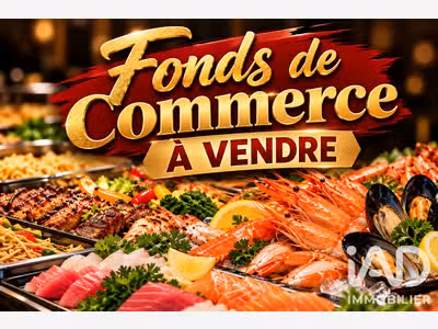 Vente restaurant à Plaisance-du-Touch