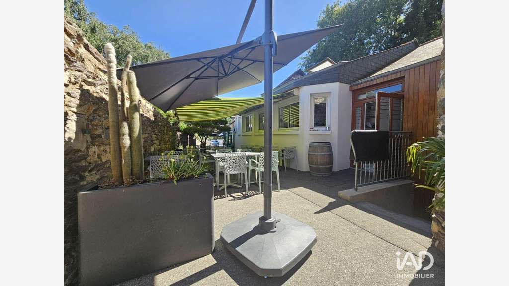 Vente restaurant du parc avec terrasse à Retiers