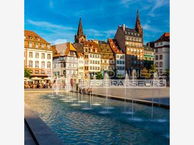 Vente restaurant 600m² hyper centre strasbourg
