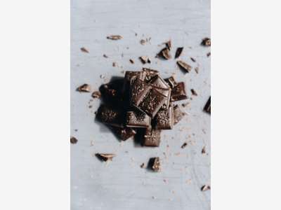 Vente salon de thé chocolaterie au Havre
