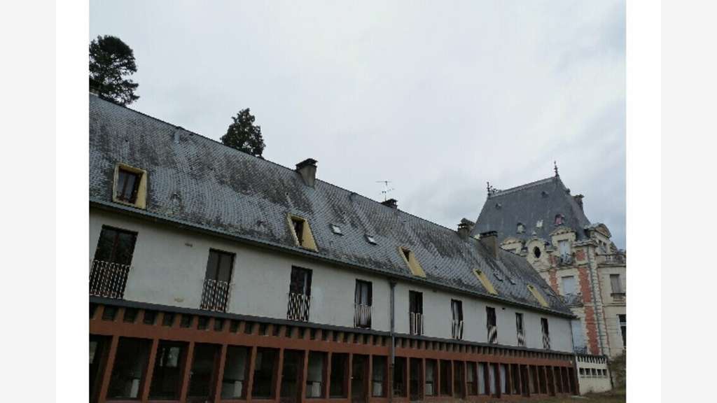 Château activité touristique à vendre en Sarthe