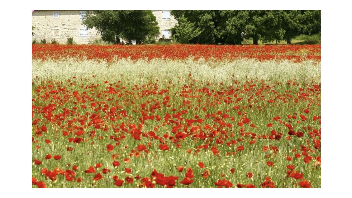Village de Gîtes et Chalets Ardèche Méridionale