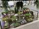Vend atelier floral et boutique 200m² Val de Marne
