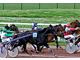 Vente bar Loto PMU Presse à Aulnoye-Aymeries