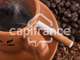 BAR TABAC LOTO - Bordeaux Intra-Rocade