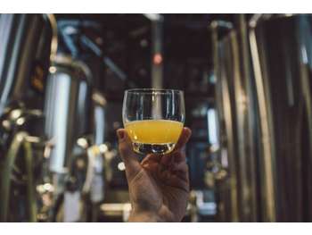 Vente microbrasserie à Angers première couronne