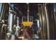 Vente microbrasserie à Angers première couronne