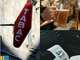 Vente bar tabac loto logement face gare dept Nord
