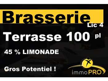 Vente brasserie lic 4 terrasse ombragée à Valence