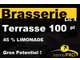 Vente brasserie lic 4 terrasse ombragée à Valence