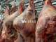 Vente boucherie charcuterie secteur Dinan