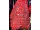 Vente boucherie charcuterie en Nord Finistère