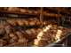 Vente boulangerie en zone commerciale Bresse