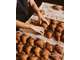 A vendre affaire de snacking en Charente