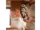 A saisir boulangerie artisanale sans concurrence